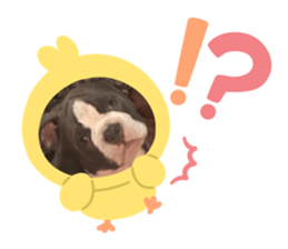 662537349