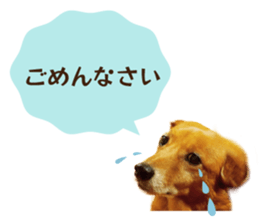662543673