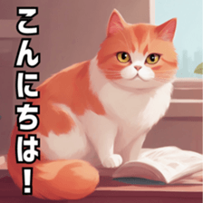 662577658