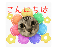 662589803