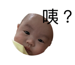 662590412