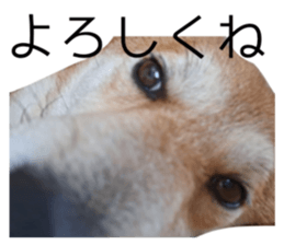 662600603