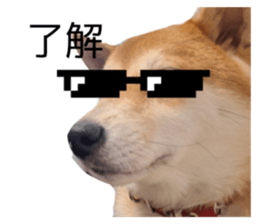 662600604