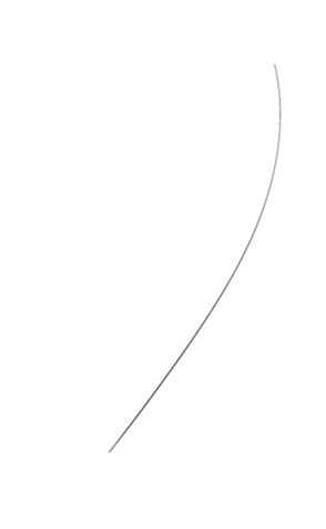 662629501