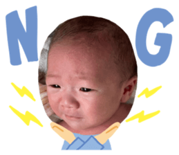 662630356