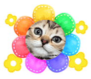 662635833