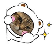 662635841