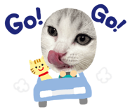 662635843