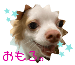 662643126
