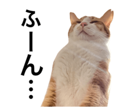 662655945