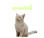 662697278