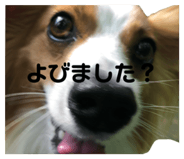 662699202