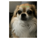662722780