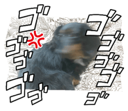662727439