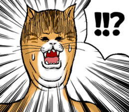 662730126