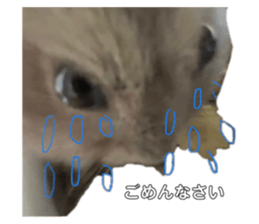 662734886