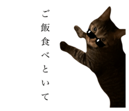 662738020