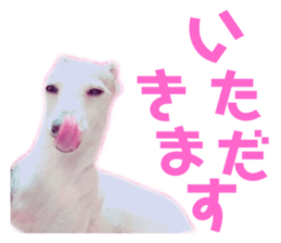 662763564