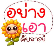 662771081