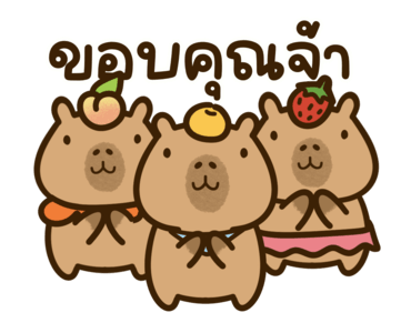 กะปิเบบี้ คาปิบาร่า: จริงๆ น่ารักมาก รูปที่ 4