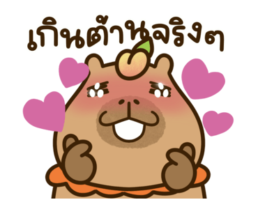 กะปิเบบี้ คาปิบาร่า: จริงๆ น่ารักมาก รูปที่ 10