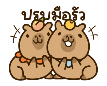 กะปิเบบี้ คาปิบาร่า: จริงๆ น่ารักมาก รูปที่ 11