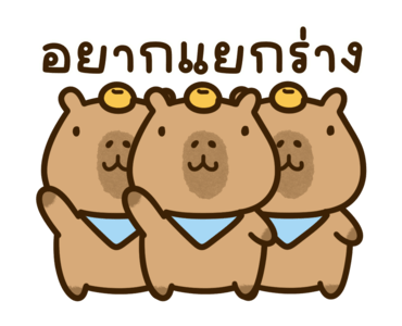 กะปิเบบี้ คาปิบาร่า: จริงๆ น่ารักมาก รูปที่ 13