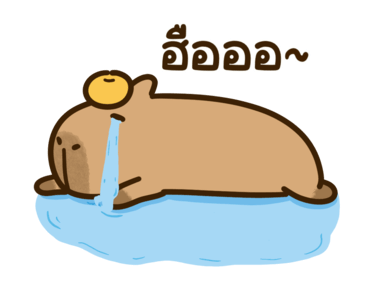 กะปิเบบี้ คาปิบาร่า: จริงๆ น่ารักมาก รูปที่ 24