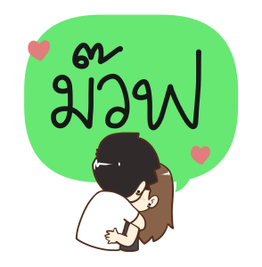 ลายที่ 13