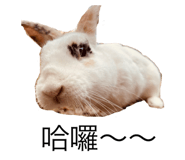 662812376