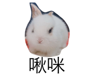 662812380