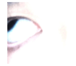 662816064