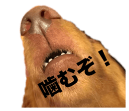 662827340