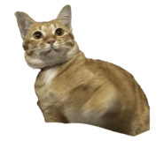 662832269