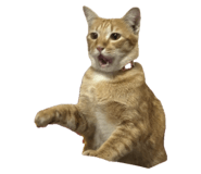 662832270
