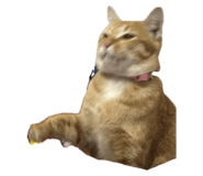 662832272
