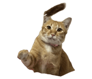 662832277