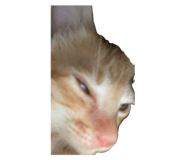 662832291