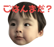 66283326