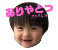 66283330