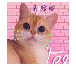 662835311