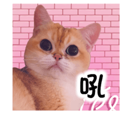 662835316