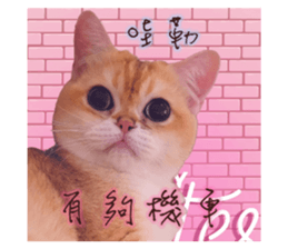 662835320