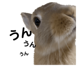 662835769