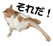 662838286