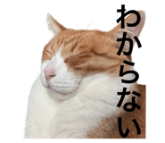 662838288