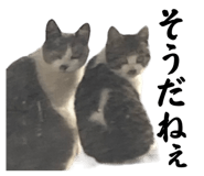 662838290