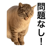662838291