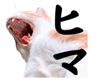 662838292