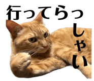 662838300